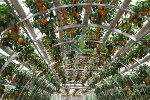 無土栽培，無土栽培技術(shù)，無土栽培設(shè)備