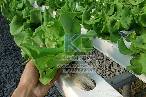 無土栽培，無土栽培技術，無土栽培設備