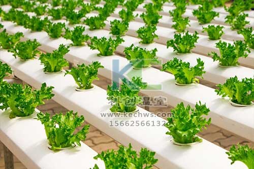 無土栽培，無土栽培技術，無土栽培設備
