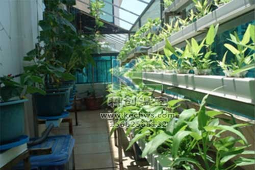 無土栽培，無土栽培技術，無土栽培設備