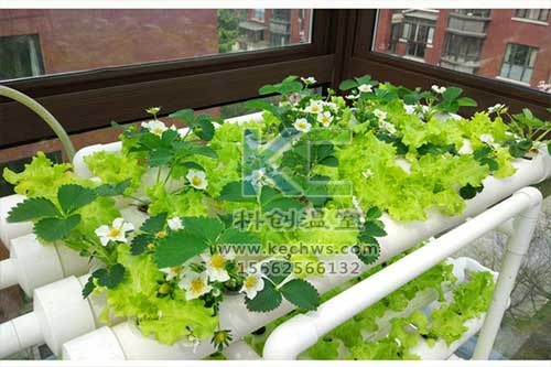 無土栽培，無土栽培技術，無土栽培設備