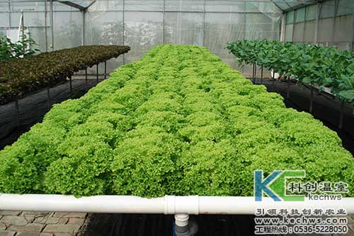 無土栽培，無土栽培技術，無土栽培設備