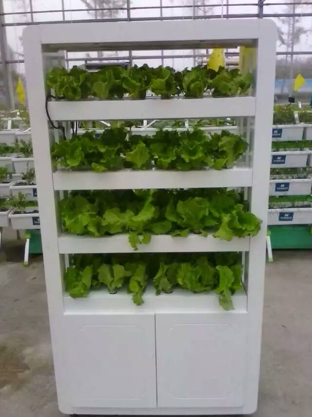 無土栽培，無土栽培技術，無土栽培設備