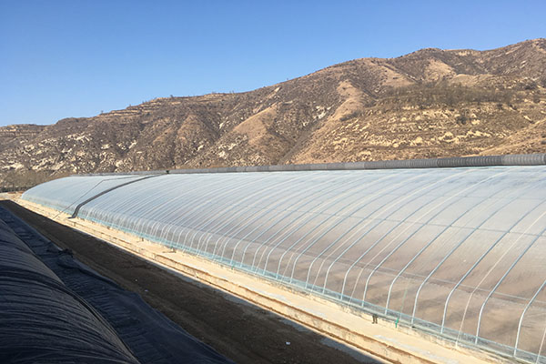 無土栽培,無土栽培技術(shù),無土栽培設(shè)備