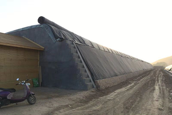 無土栽培,無土栽培技術(shù),無土栽培設(shè)備