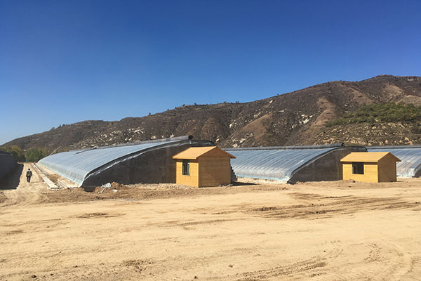 無土栽培,無土栽培技術(shù),無土栽培設(shè)備