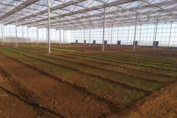 無土栽培，無土栽培技術(shù)，無土栽培設(shè)備