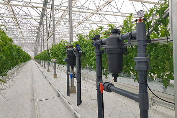 無土栽培，無土栽培技術，無土栽培設備