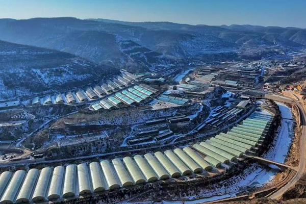 無(wú)土栽培，無(wú)土栽培技術(shù)，無(wú)土栽培設(shè)備