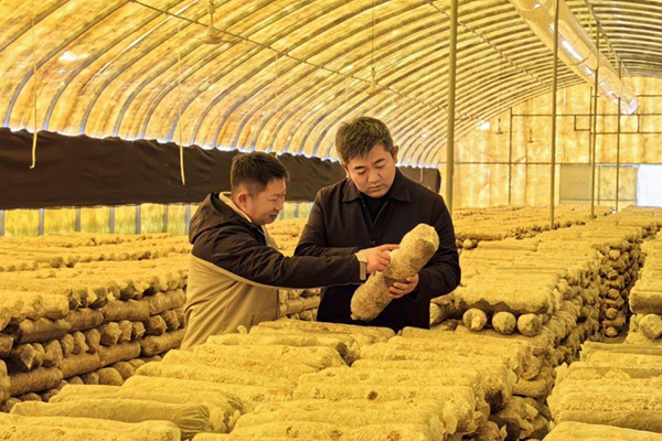 無(wú)土栽培，無(wú)土栽培技術(shù)，無(wú)土栽培設(shè)備